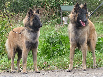 Tara & Pax